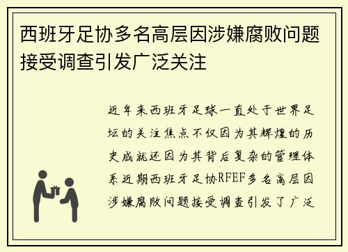 西班牙足协多名高层因涉嫌腐败问题接受调查引发广泛关注 西班牙足协多名高层因涉嫌腐败问题接受调查引发广泛关注