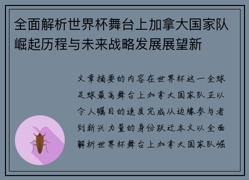全面解析世界杯舞台上加拿大国家队崛起历程与未来战略发展展望新 全面解析世界杯舞台上加拿大国家队崛起历程与未来战略发展展望新